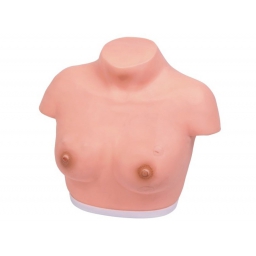 高级乳腺视诊与触诊模型